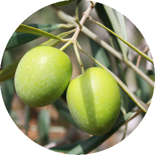 Aceite de oliva Hojiblanca virgen extra